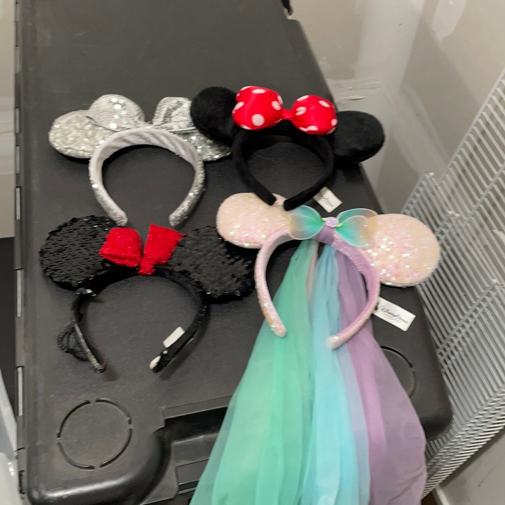 Disney Princess Mickey Mouse Ears Lot!